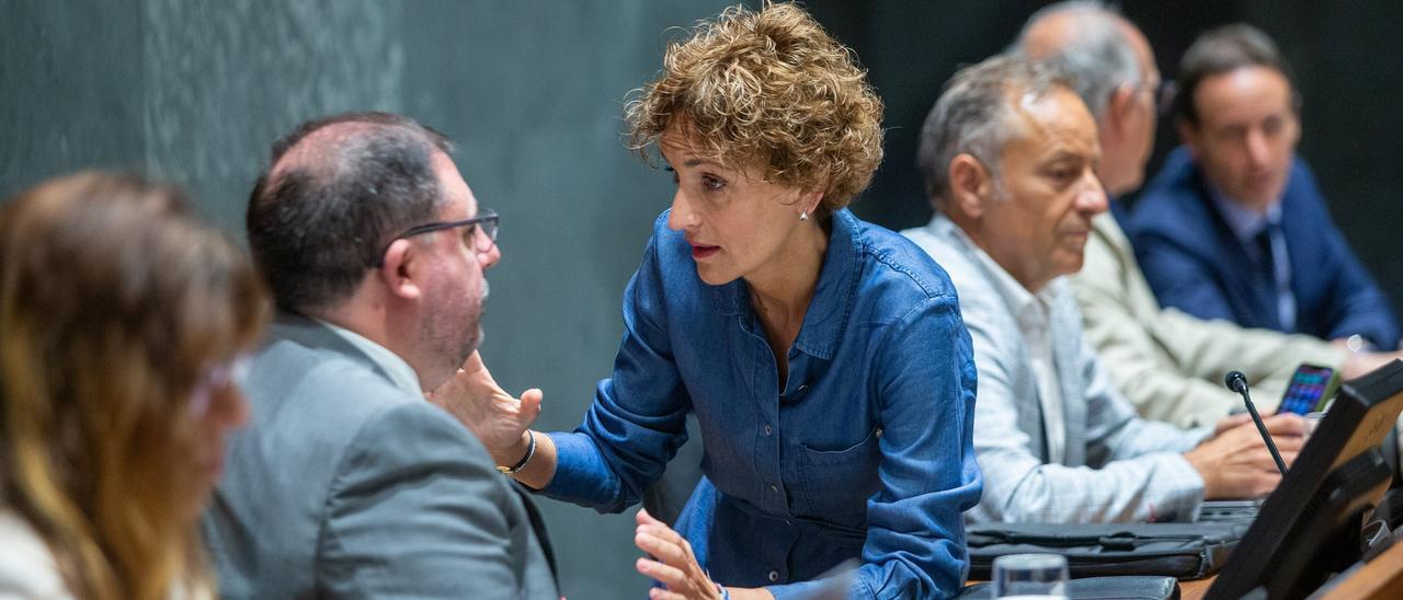 Fotos del pleno del Parlamento (11/06/2026)