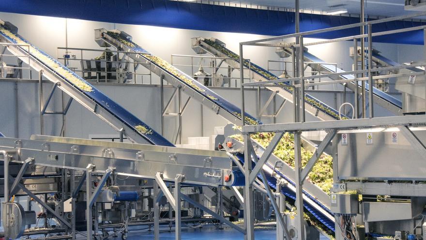 Grupo Enhol y Stellum Food&amp;Tech entran en el capital de Huerta de Peralta