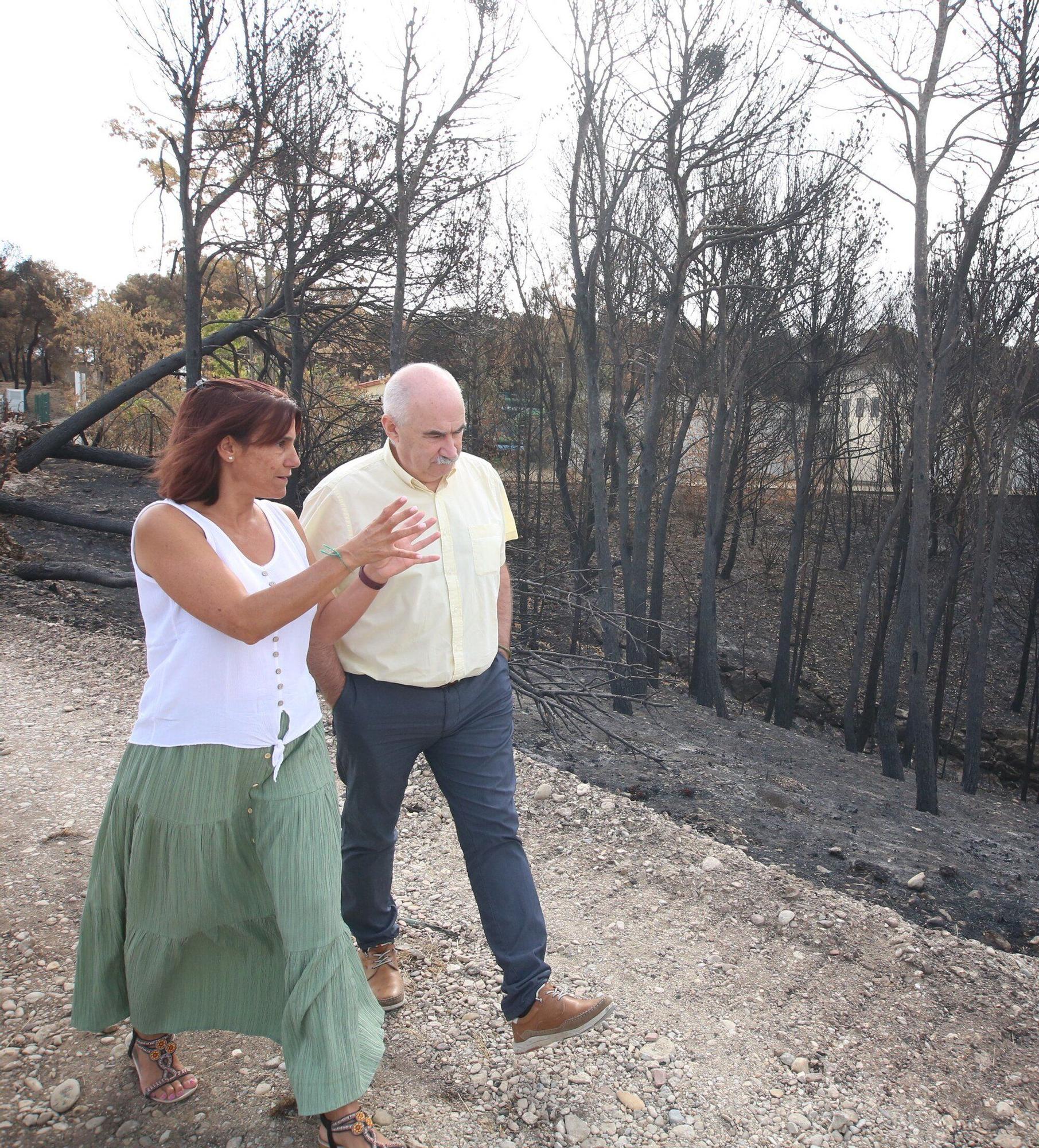 Así han quedado los montes afectados por el incendio de Carcastillo