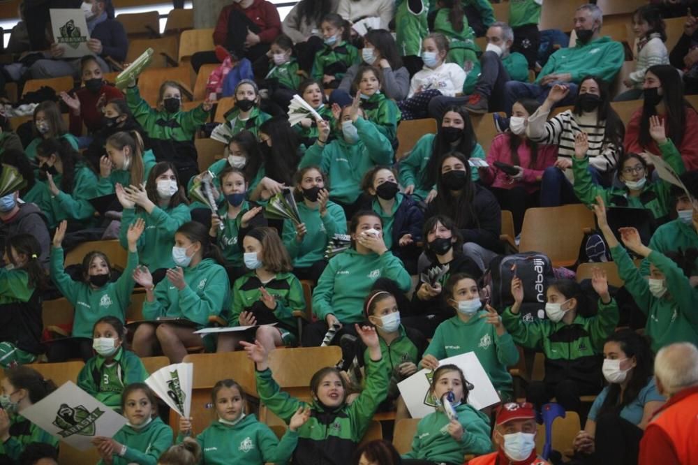 Baloncesto Liga Femenina: Araski - Casademont Zara