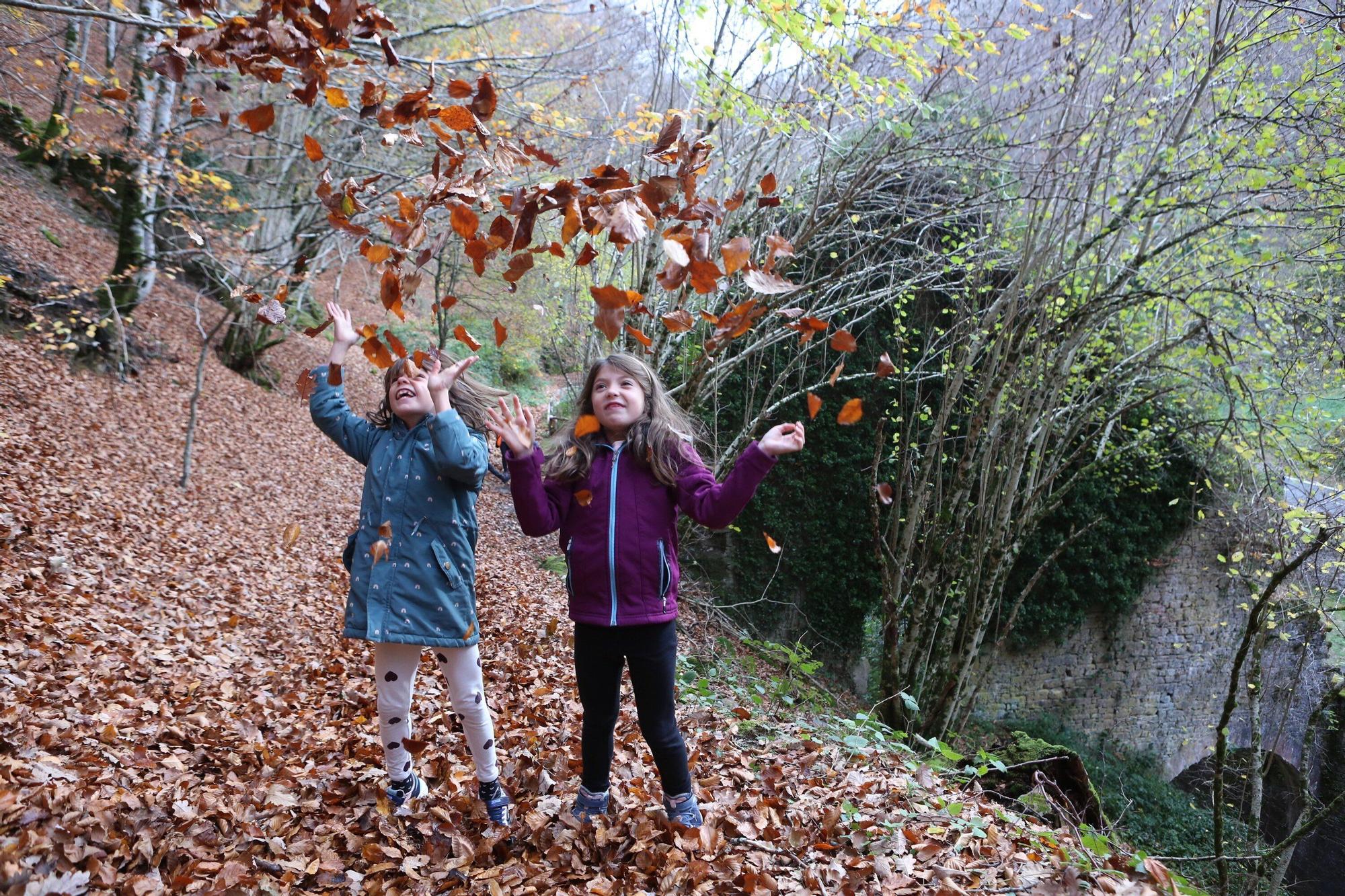 Domingo de otoño en la Real Fábrica de Municiones de Eugi