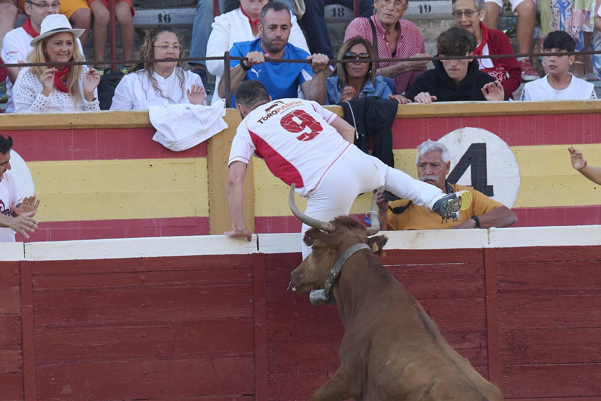 Concurso de recortadores con anillas
