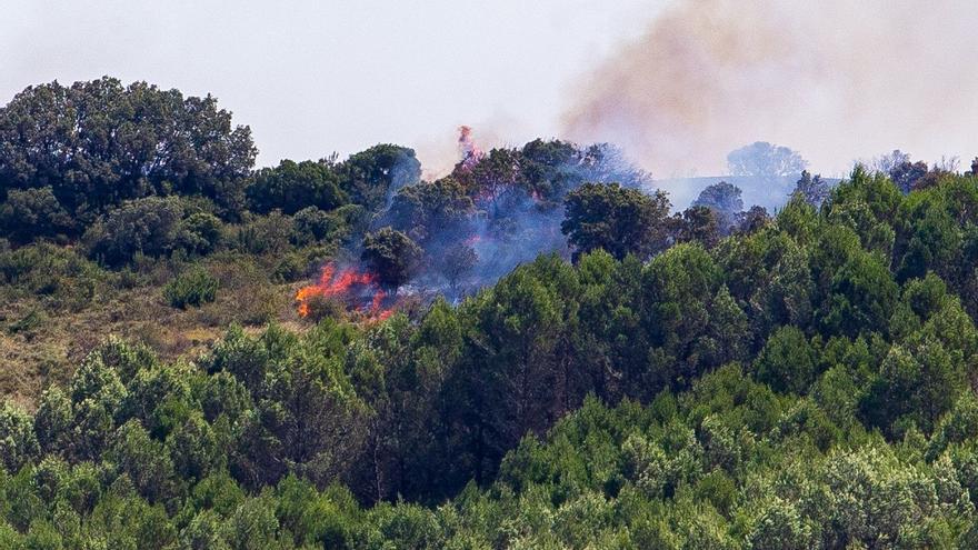 Imágenes de la zona afectada por el incendio en Enériz