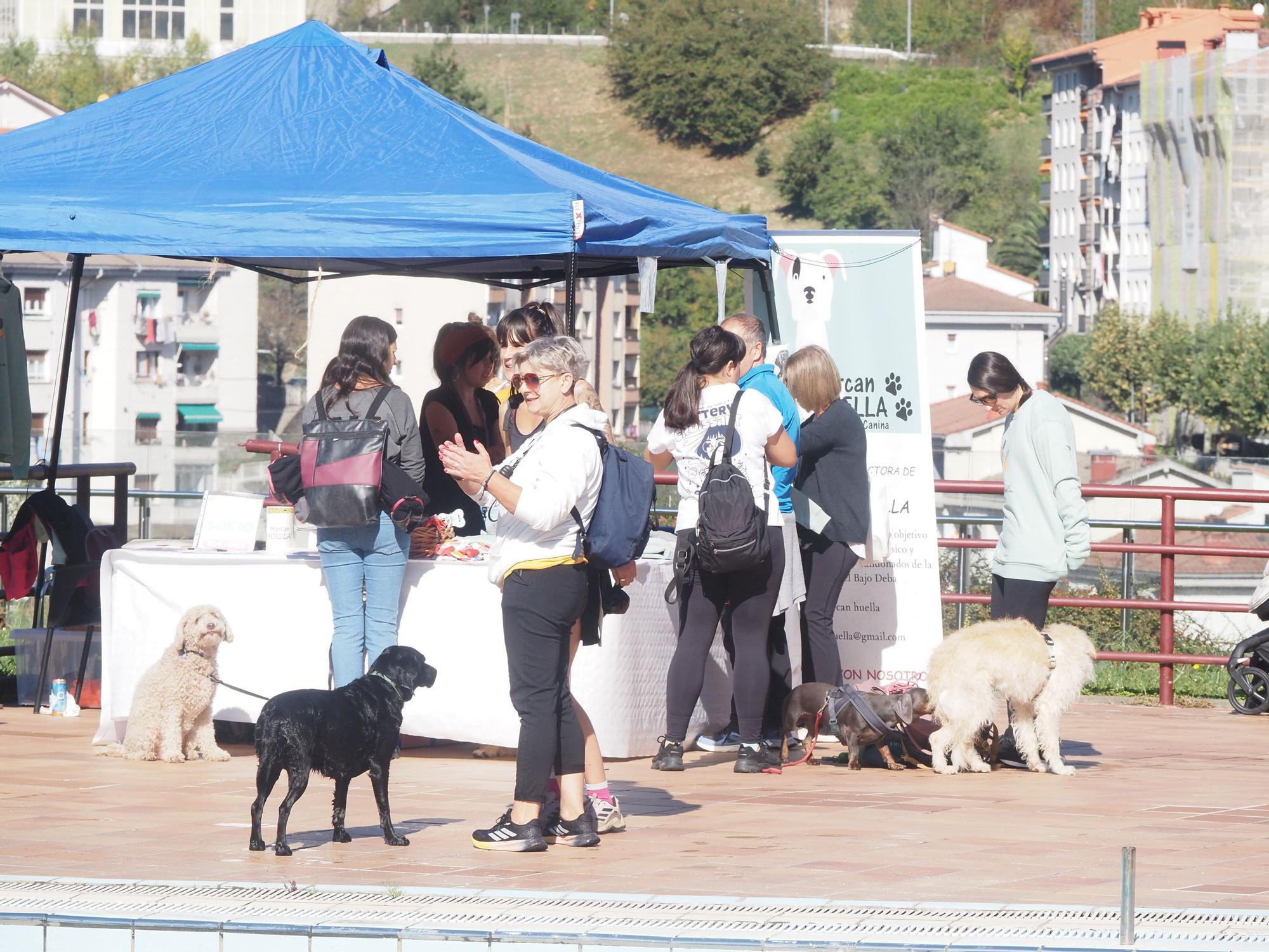 Las piscinas de Eibar han sido coto privado para los perros