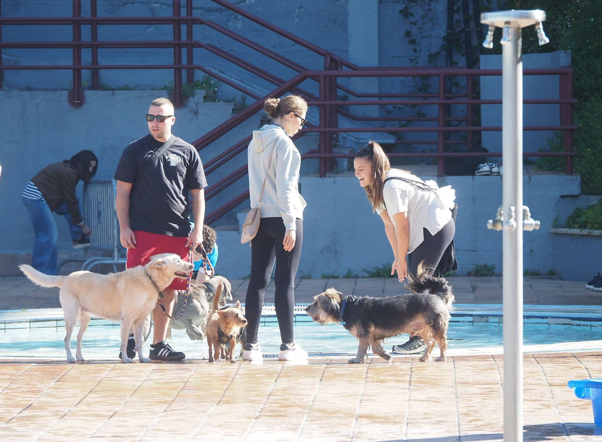 Las piscinas de Eibar han sido coto privado para los perros