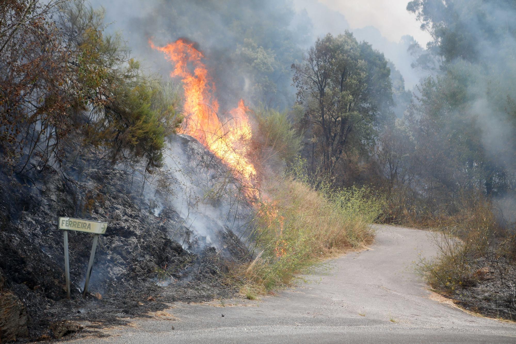 Semana negra de incendios: Cuatro muertos y 120.000 hectáreas quemadas