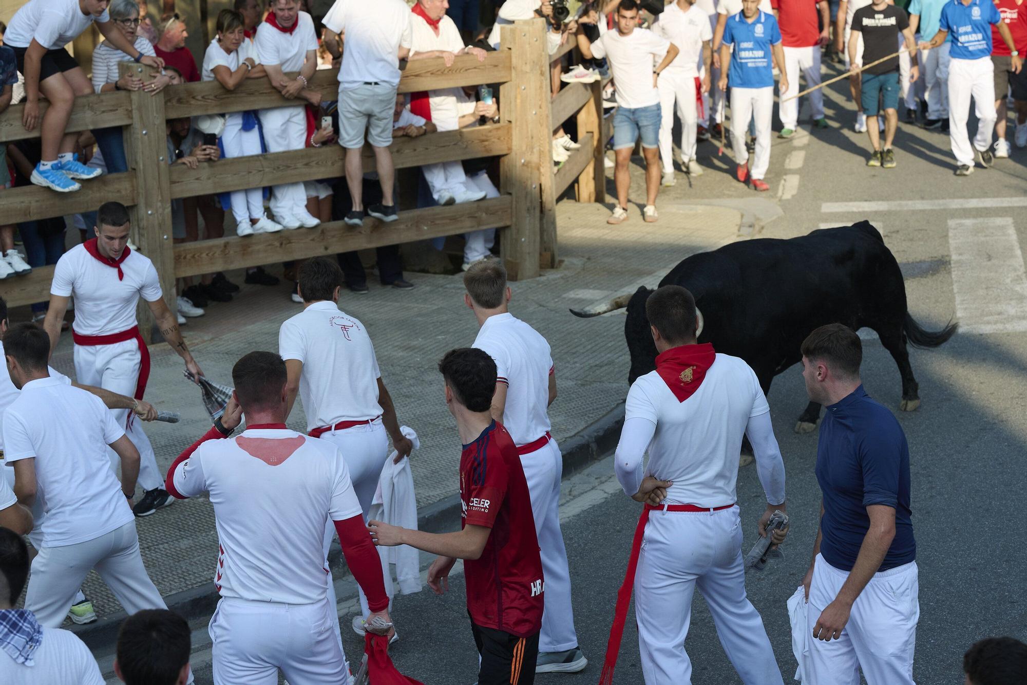 Fotos del primer encierro de fiestas de Tafalla
