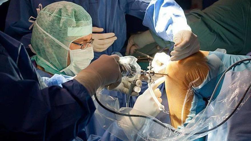 Ténica pionera para reparar el ligamento cruzado lesionado utilizando el propio tejido