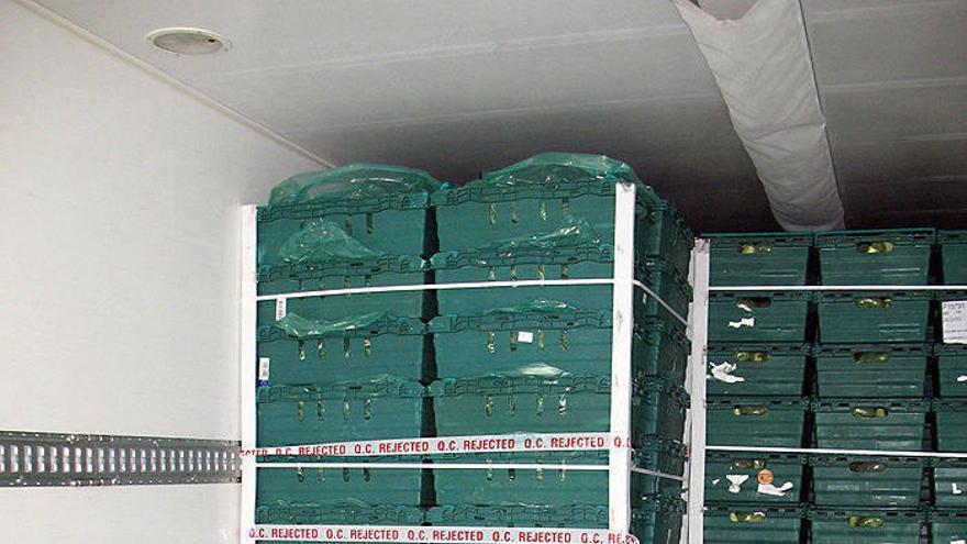 El cargamento de brócoli contaminado.