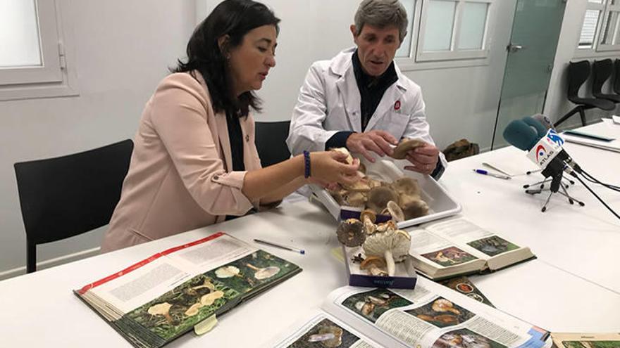 Yolanda Díez analiza un ejemplar con un técnico municipal.