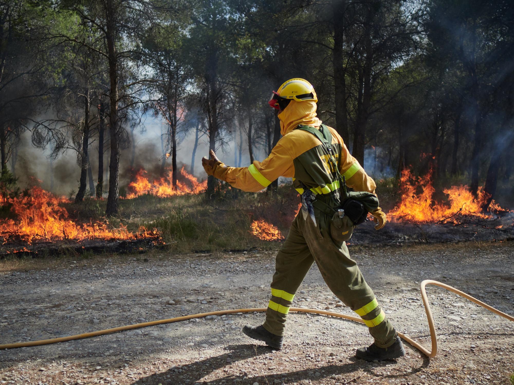 Fotos del incendio forestal cerca de Carcastillo
