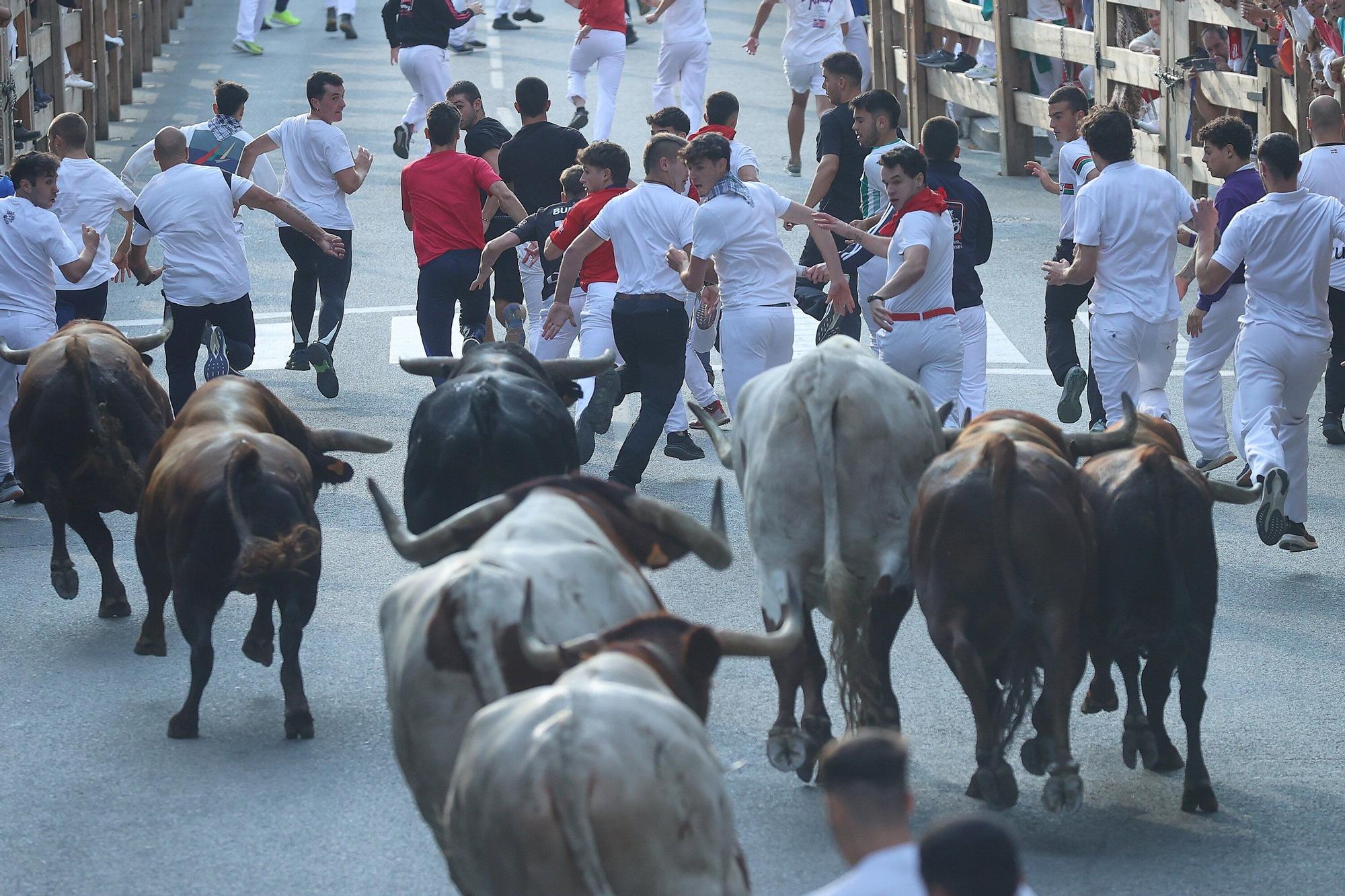 Fotos del quinto encierro de las fiestas de Tafalla 2025