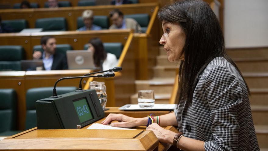 El Gobierno vasco reclama a EH Bildu "más compromiso" con el pacto para la migración y "menos ruido y pancartas"