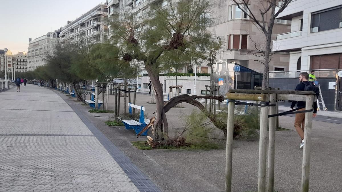 Los efectos de la borrasca fueron más que notables