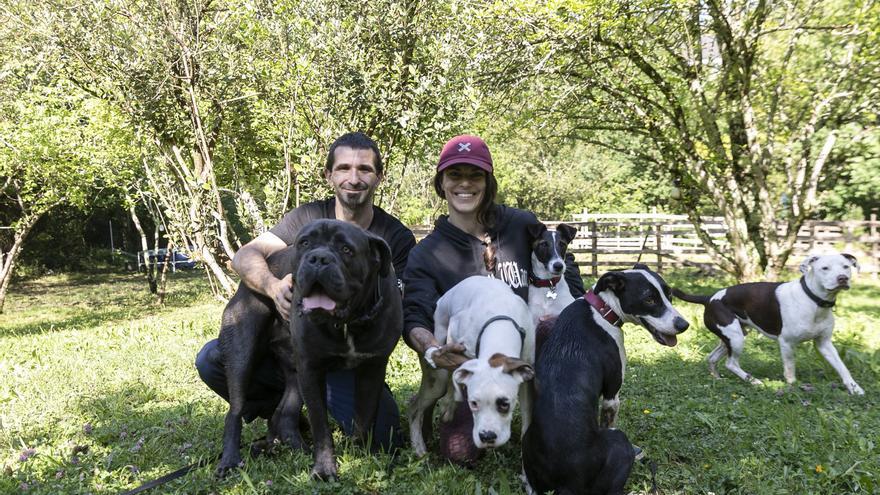 Residencias y guarderías caninas se afianzan en Bizkaia por el aumento de viajes y las largas jornadas laborales