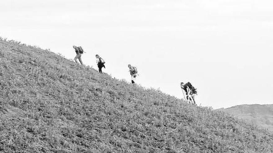 El concurso de la Federación tiene ganadores