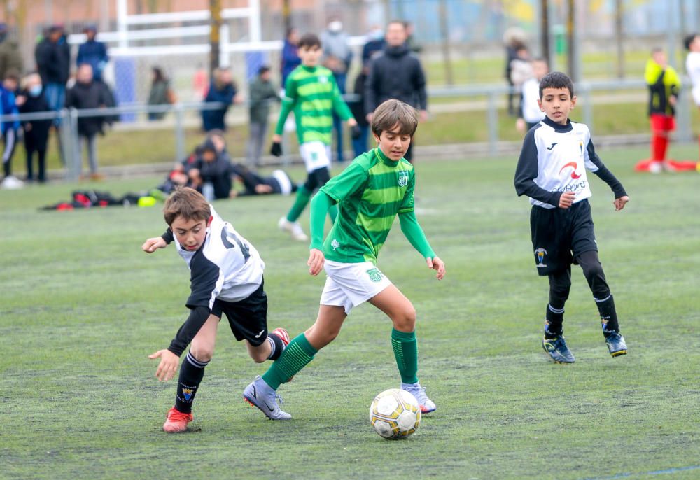 Araba Gaztea / Zure Argazkiak