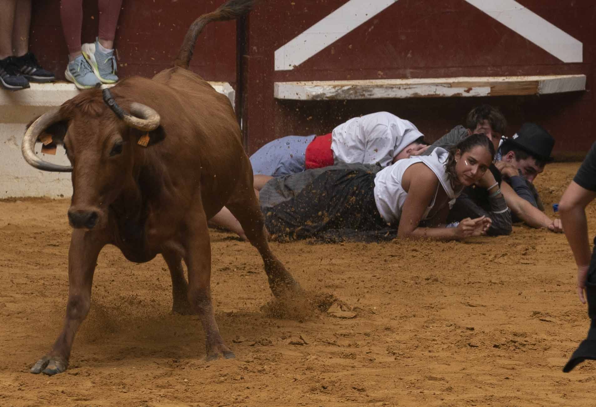 Eb imágenes: Las vaquillas reinan en el Iradier Arena