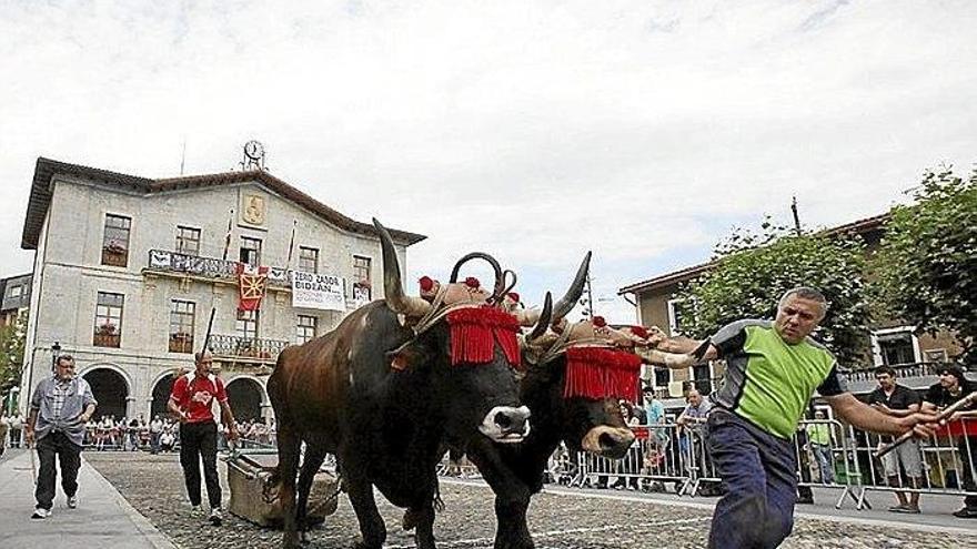 Sagardoaren eguna Astigarragan