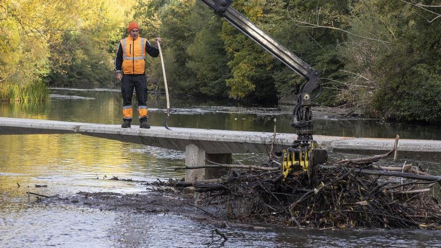Limpieza de las riberas del río Arga en seis puntos de Pamplona