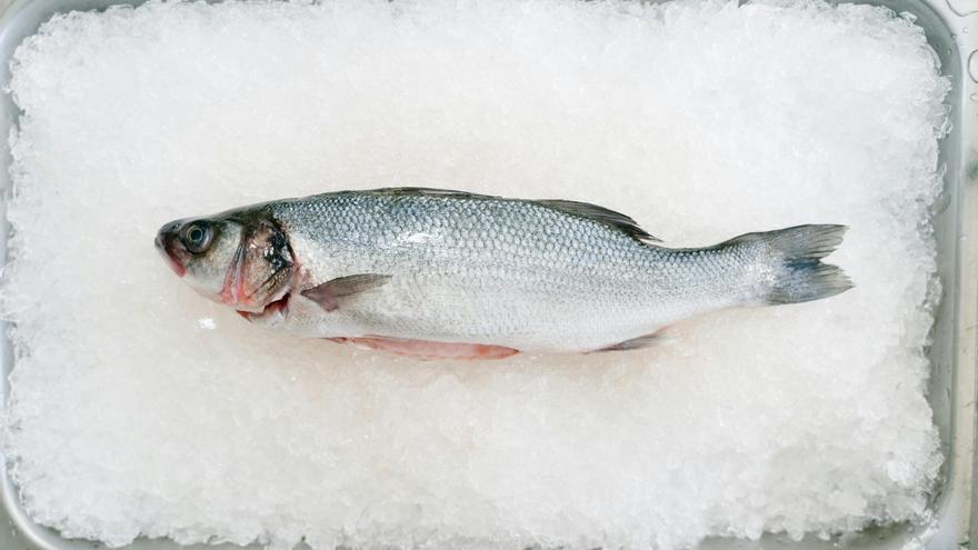 Los envases transfieren aditivos plásticos al pescado guardado en la nevera o el congelador