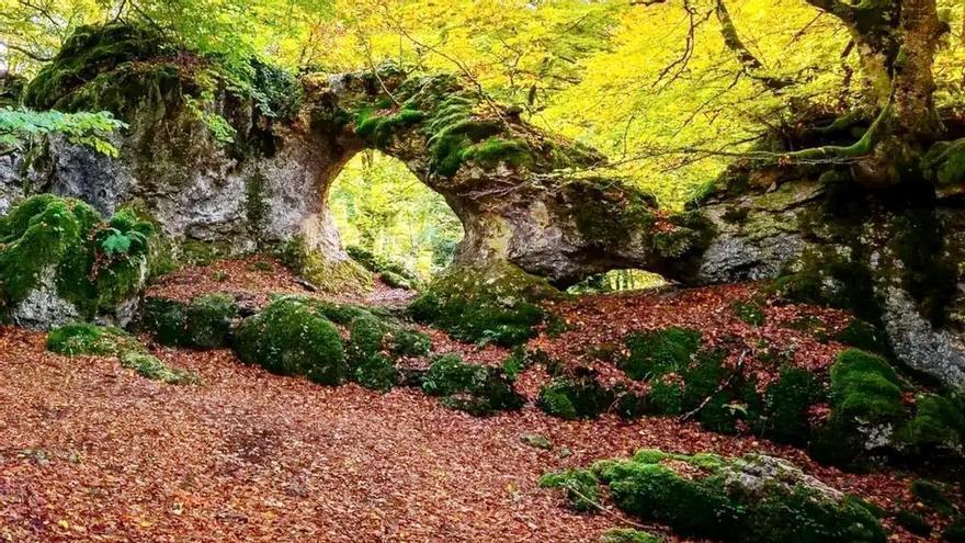 Uno de los lugares “más curiosos” de Álava: todo un laberinto en plena naturaleza