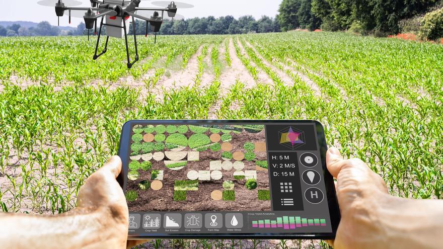 Cooperativas agroalimentarias, un modelo que alimenta el territorio