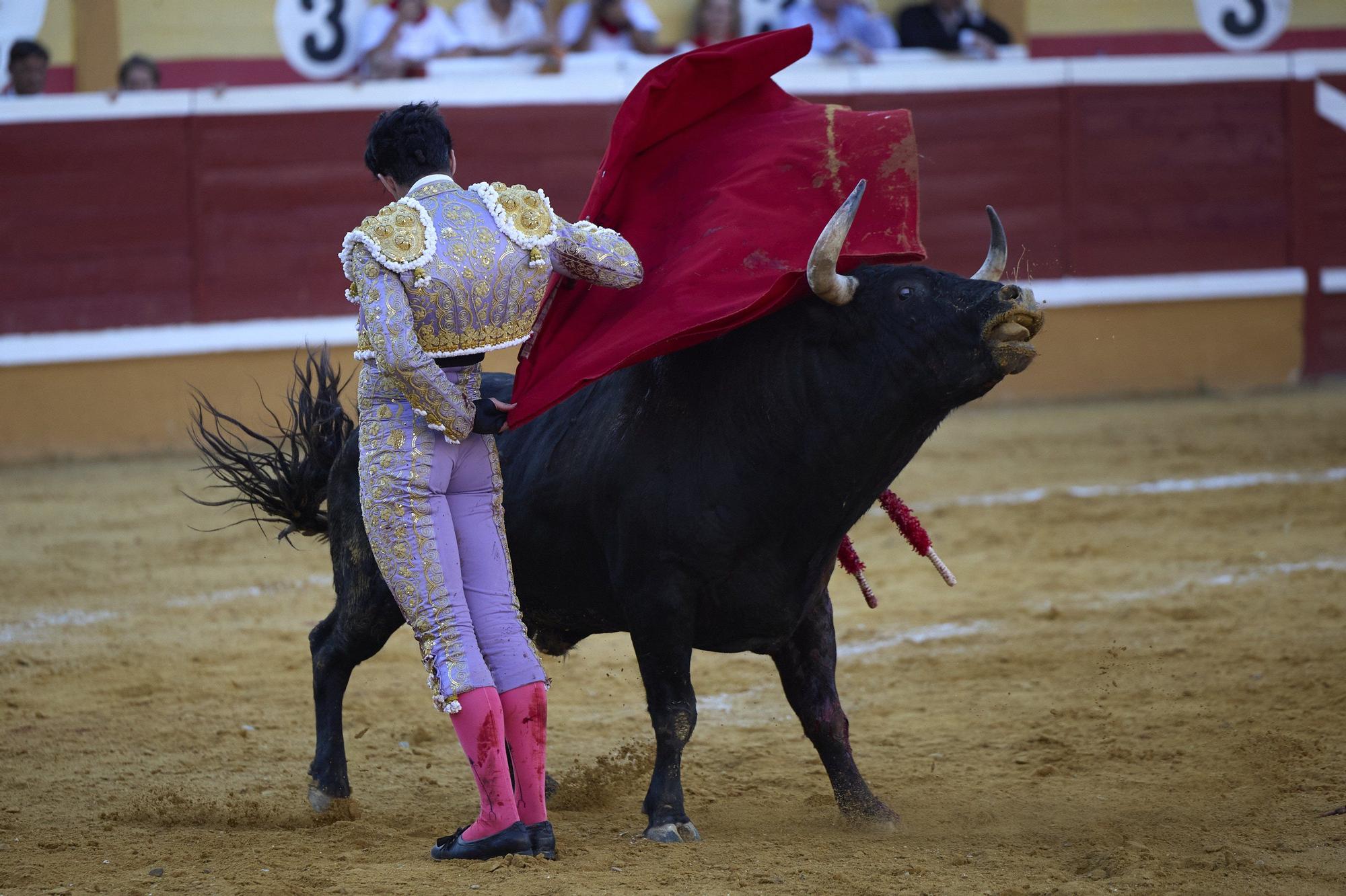 Fotos de la corrida de toros en Tudela con toros de Garzón Valdenebro