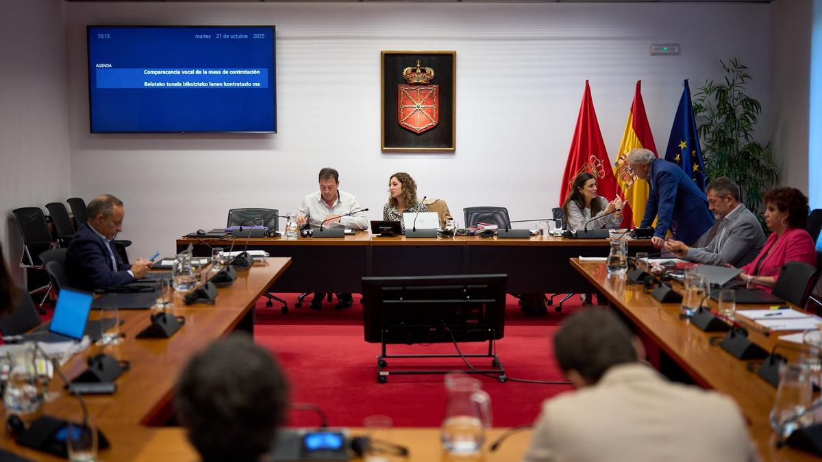 Guillermo Vallejo, en la comisión de investigación.