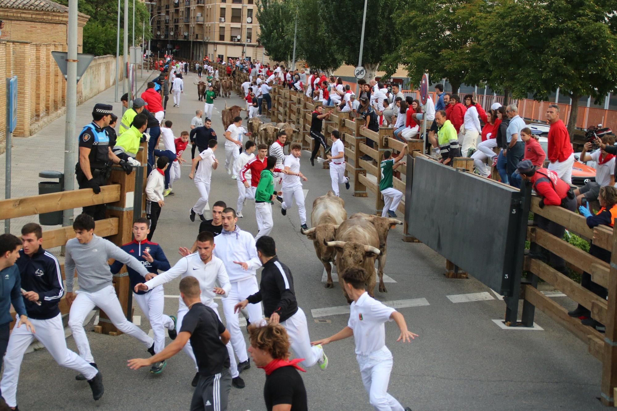 Fotos del sexto y último encierro de las fiestas de Tudela 2025