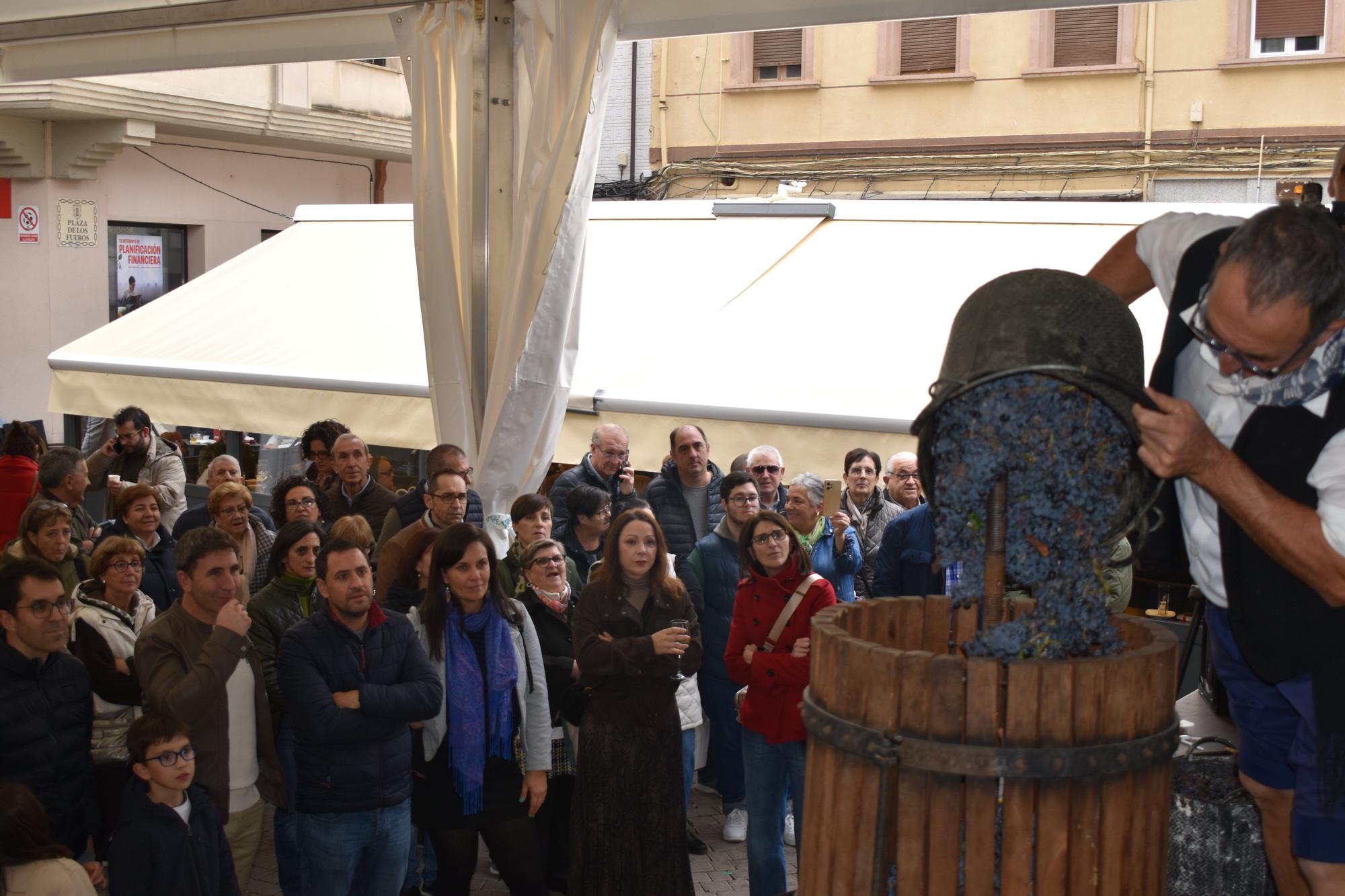 Fotos de las fiestas de San Gregorio 2025 en Azagra