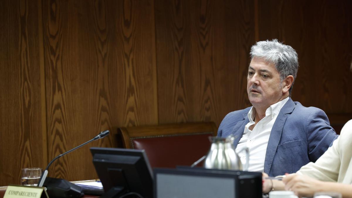 Antxon Alonso, este martes, en la comisión de investigación del Senado.