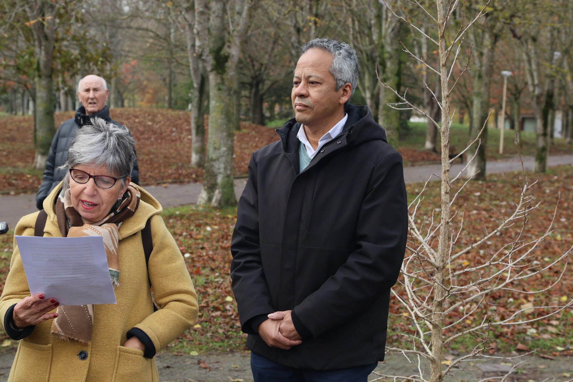 En imágenes: Un árbol para 25 años de lucha contra el párkinson en Vitoria