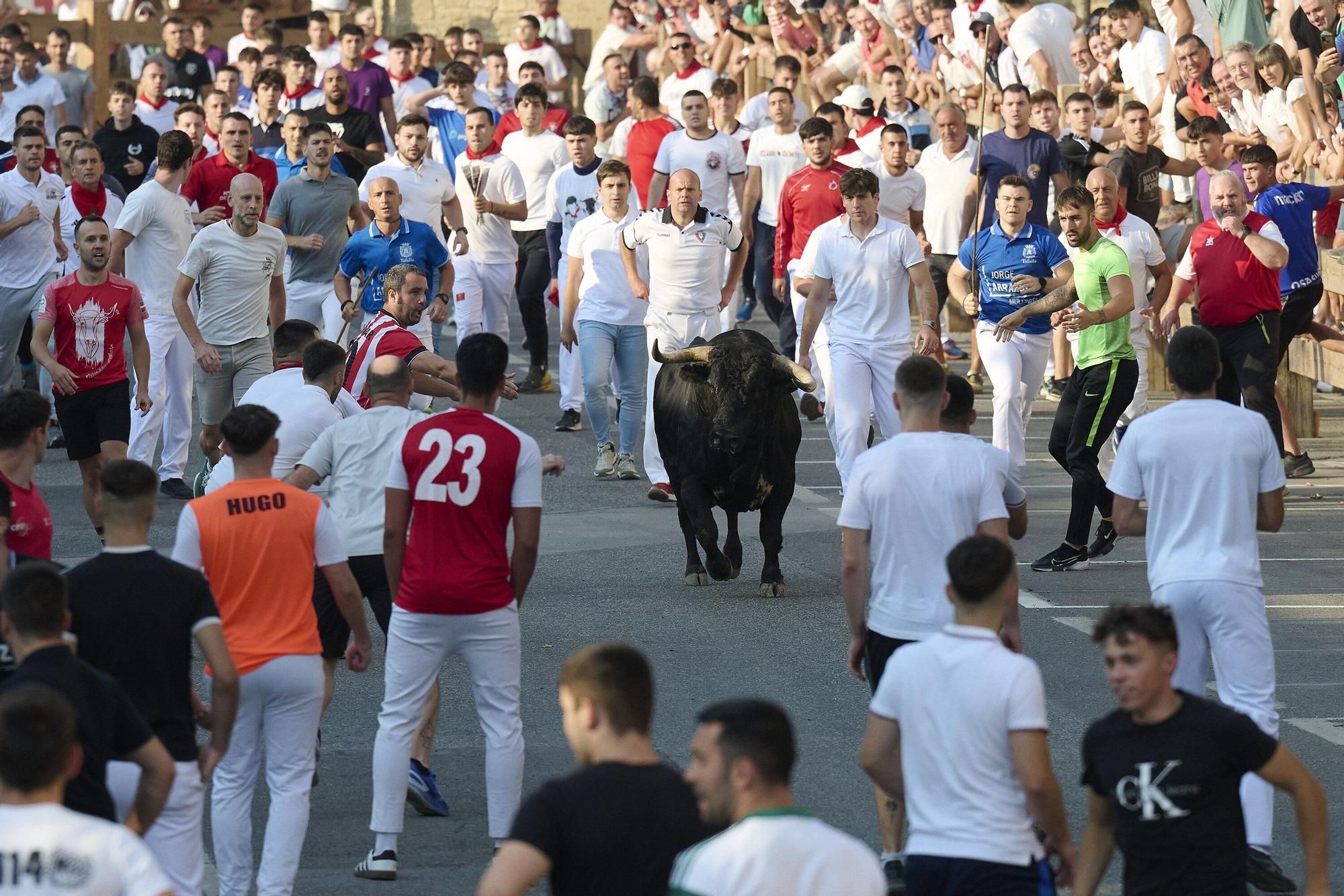 Fotos del primer encierro de fiestas de Tafalla