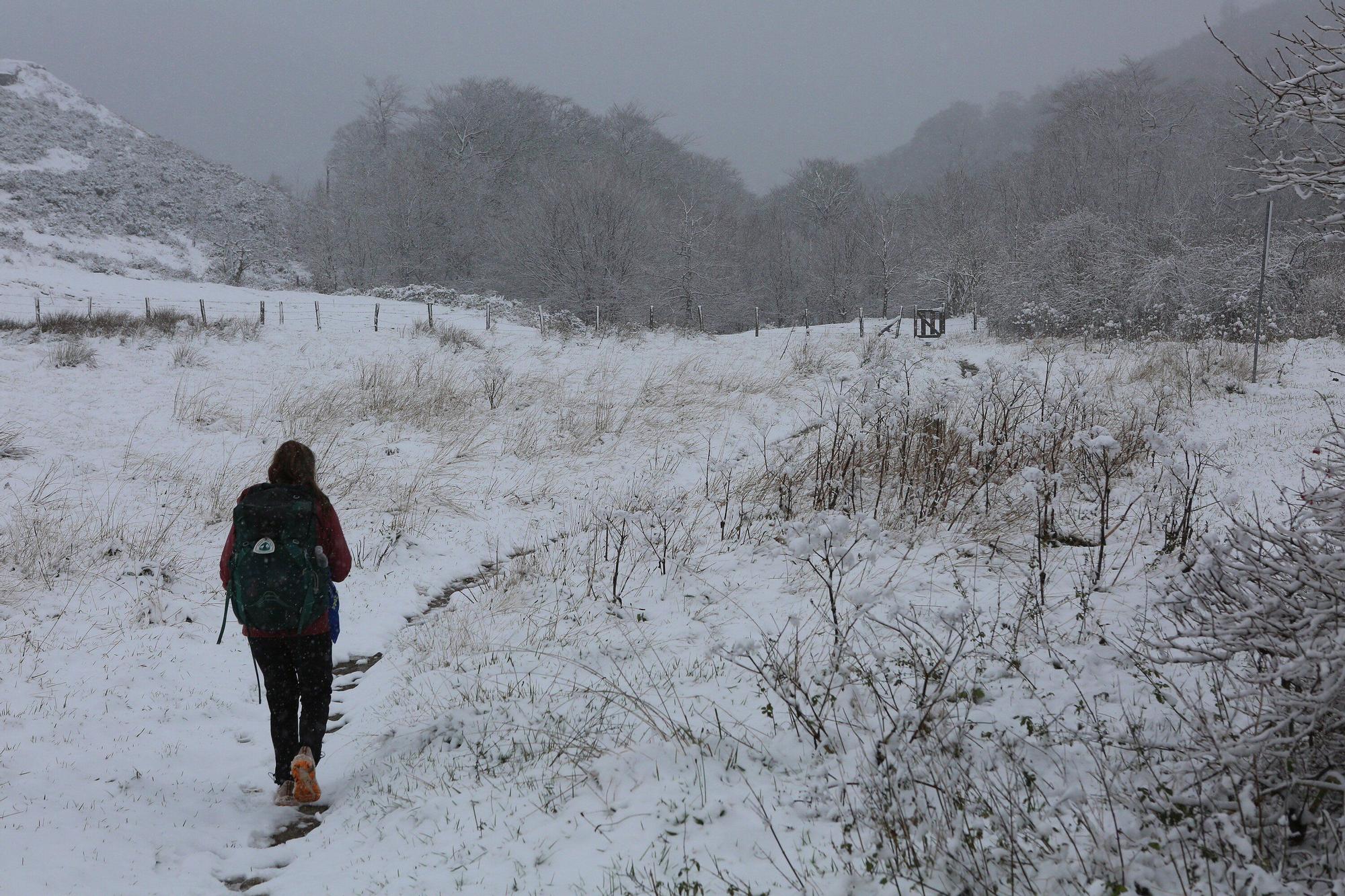 Fotos de la nieve en Navarra (20 de noviembre de 2025)