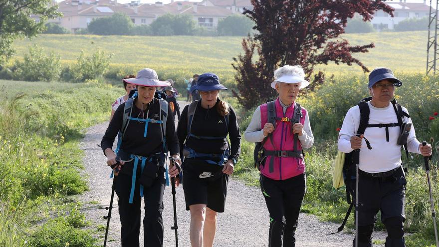 Un estudio alerta sobre los riesgos de masificación del Camino de Santiago que pasa por Navarra