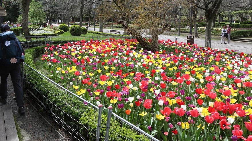 28,8 millones de euros para la conservación de zonas verdes, jardines y fuentes hasta 2030
