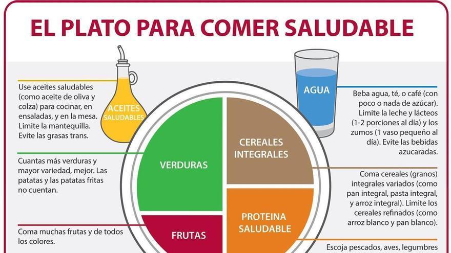 ¿Conoces el plato de Harvard?