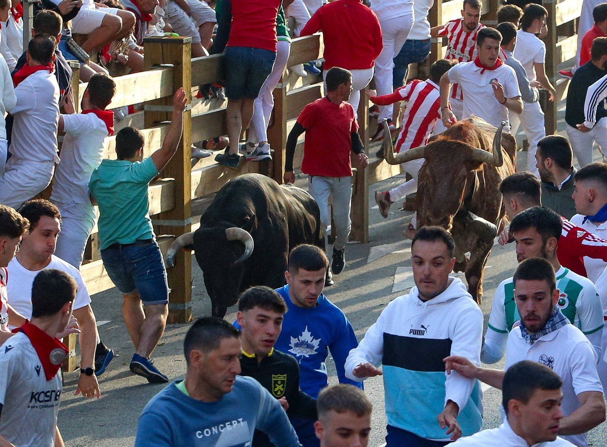 Fotos del primer encierro de las fiestas de Tudela 2025
