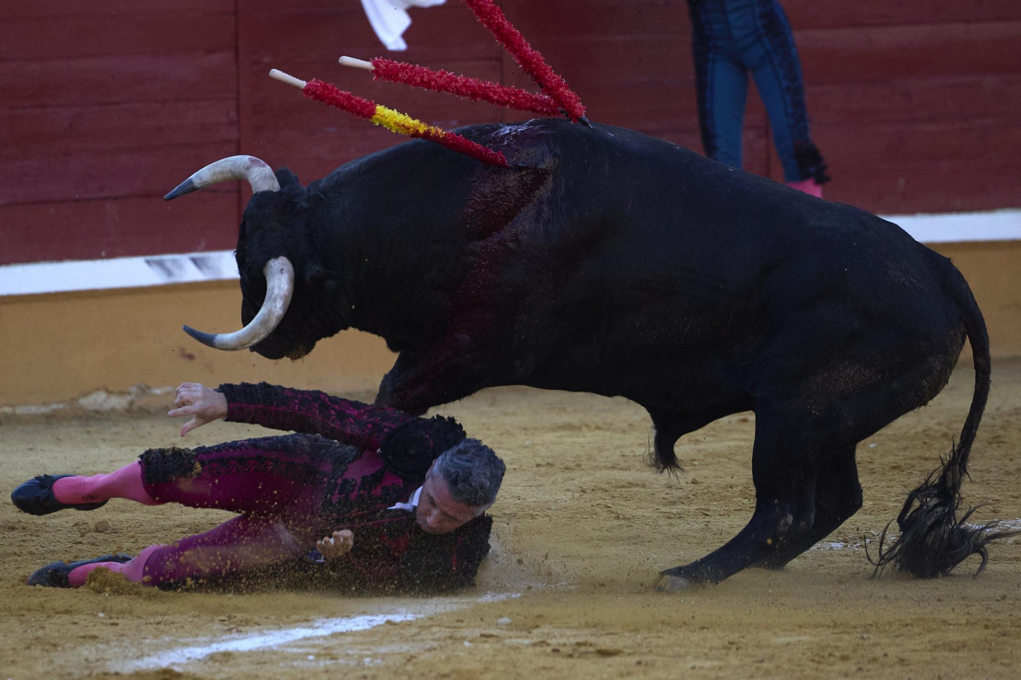 Fotos de la corrida de toros en Tudela con toros de Garzón Valdenebro