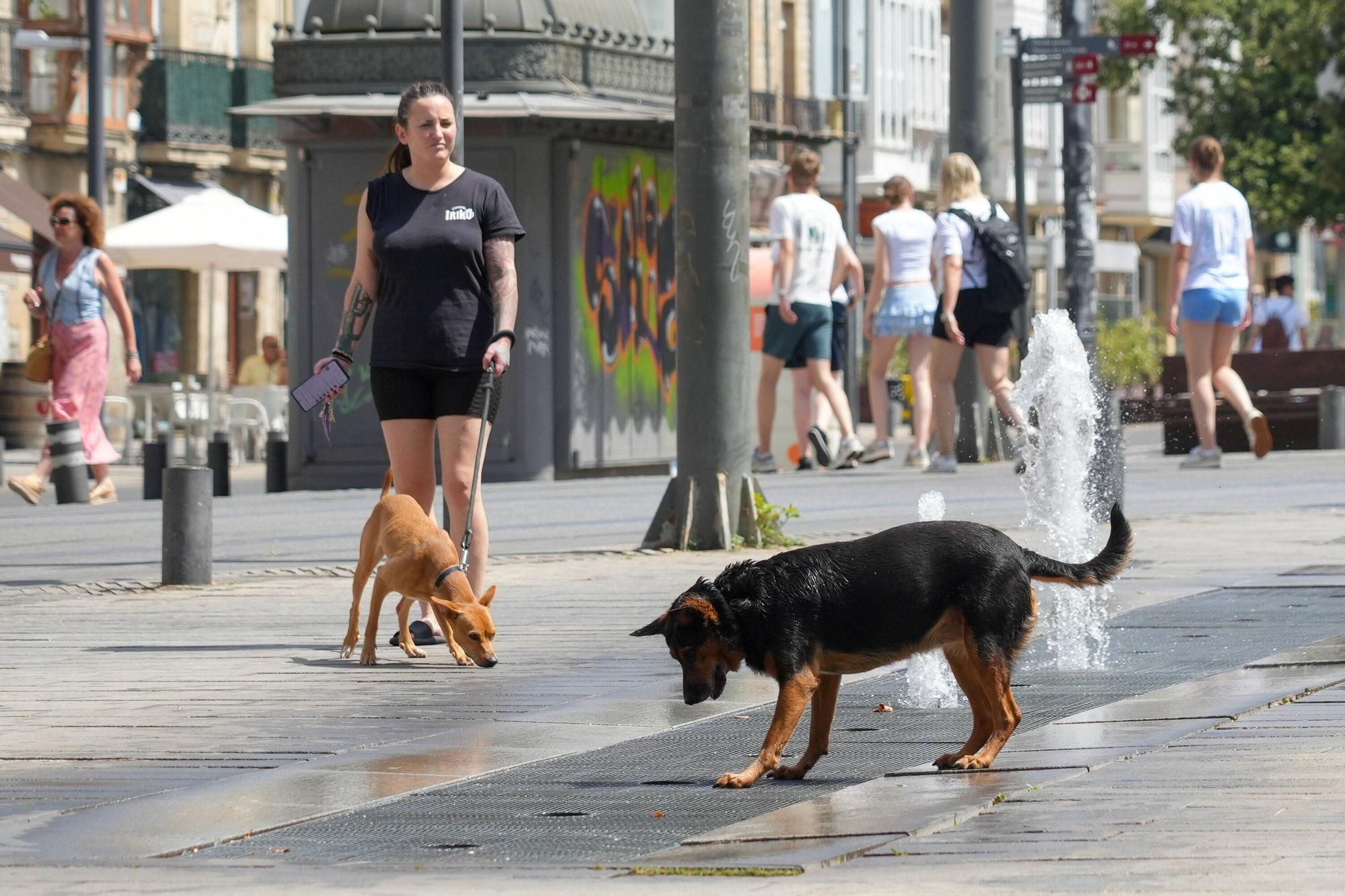 En imágenes: Vitoria se achicharra en plena ola de calor