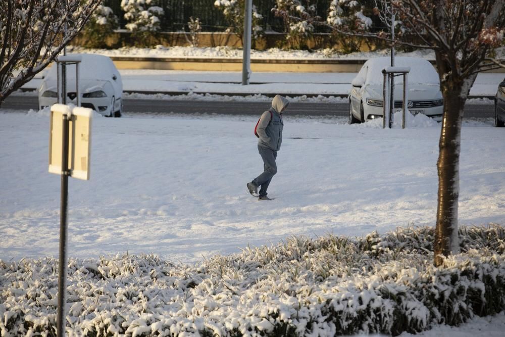 Imágenes de la nieve este sábado