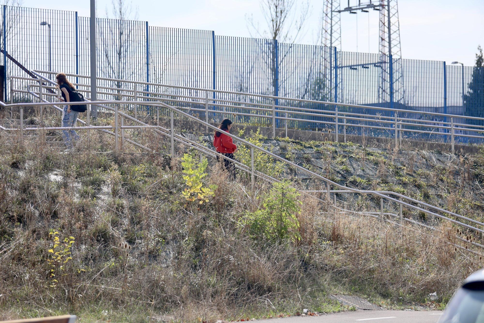 En imágenes: Vitoria-Gasteiz se prepara para adecentar el verde de la ciudad