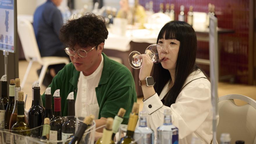 Pamplona acoge infinidad de catas de vino hasta este jueves