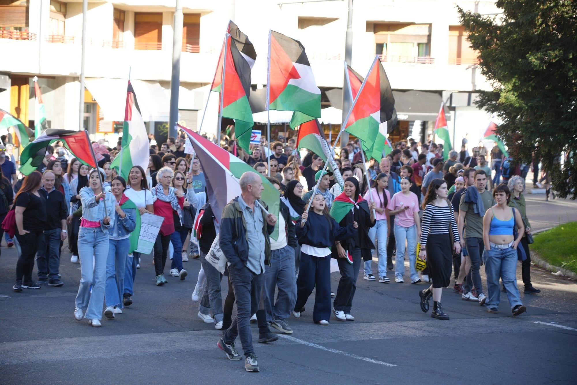 Manifestación en favor del pueblo de Gaza en Vitoria