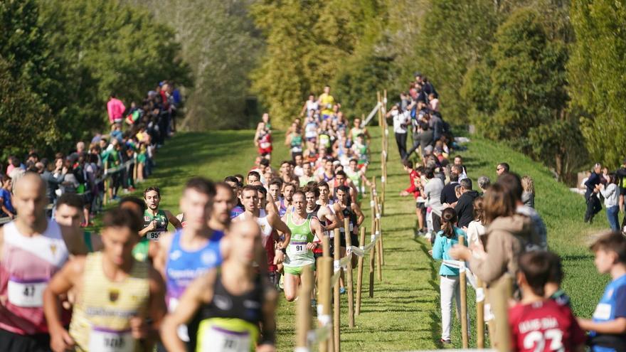 Dimite la Junta Directiva al completo de la Federación vasca de Atletismo