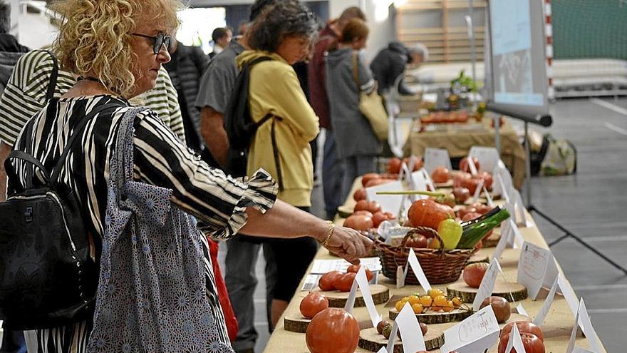 Elburgo acoge este domingo la cuarta edición de la Feria del Tomate antiguo