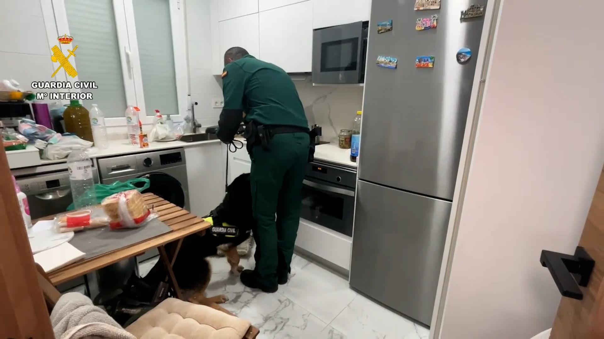En imágenes: detenidas 31 personas e intervenidos 600 kilos de hachís