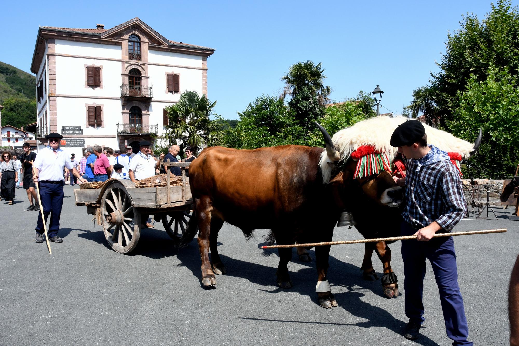 Urdax-Urdazubi celebra la 17ª edición del Día del Hierro
