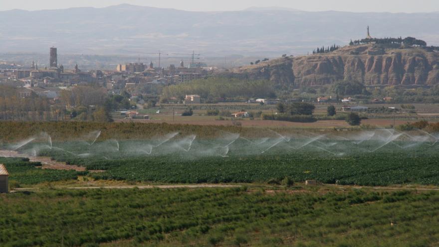 Contigo Tudela alerta del "caos" que UPN está generando en el comunal